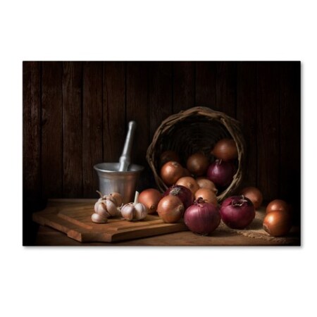 Trademark Fine Art Margareth Perfoncio 'Day By Day' Canvas Art, 16x24 1X00650-C1624GG